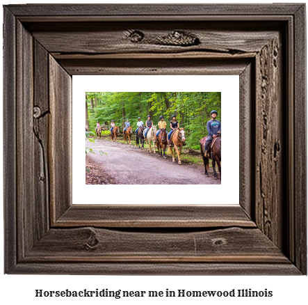 horseback riding near me in Homewood, Illinois